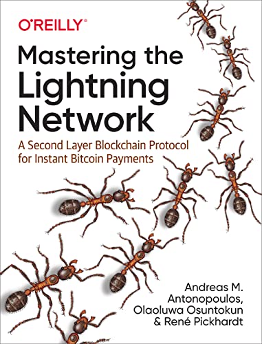 Mastering the Lightning Network: A Second Layer Blockchain ...