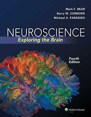 [PDF] Neuroscience: Exploring the Brain