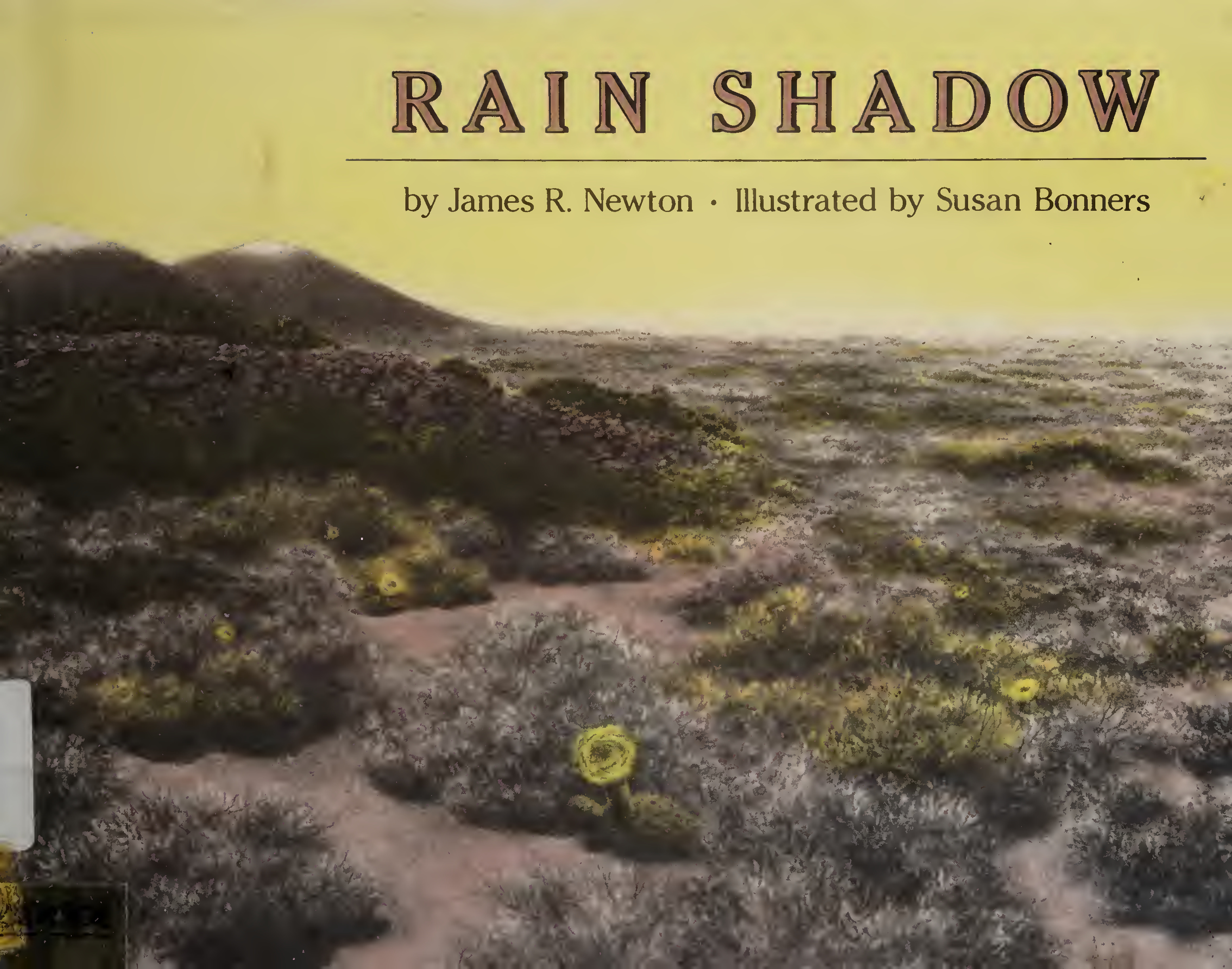 Rain Shadow