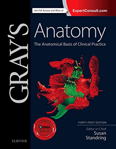 GRAY’S Anatomy