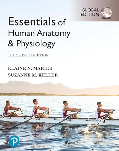 Essentials of Human Anatomy & Physiology