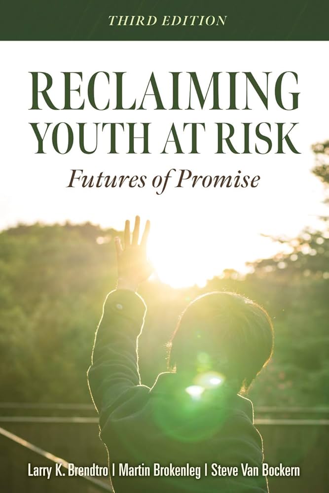 Reclaiming Youth at Risk: Futures of Promise (Reach Alienated ...